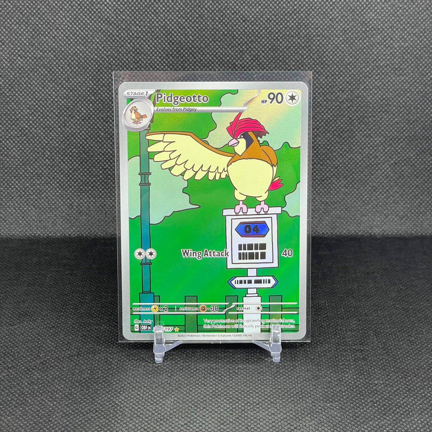 Pidgeotto (IR)