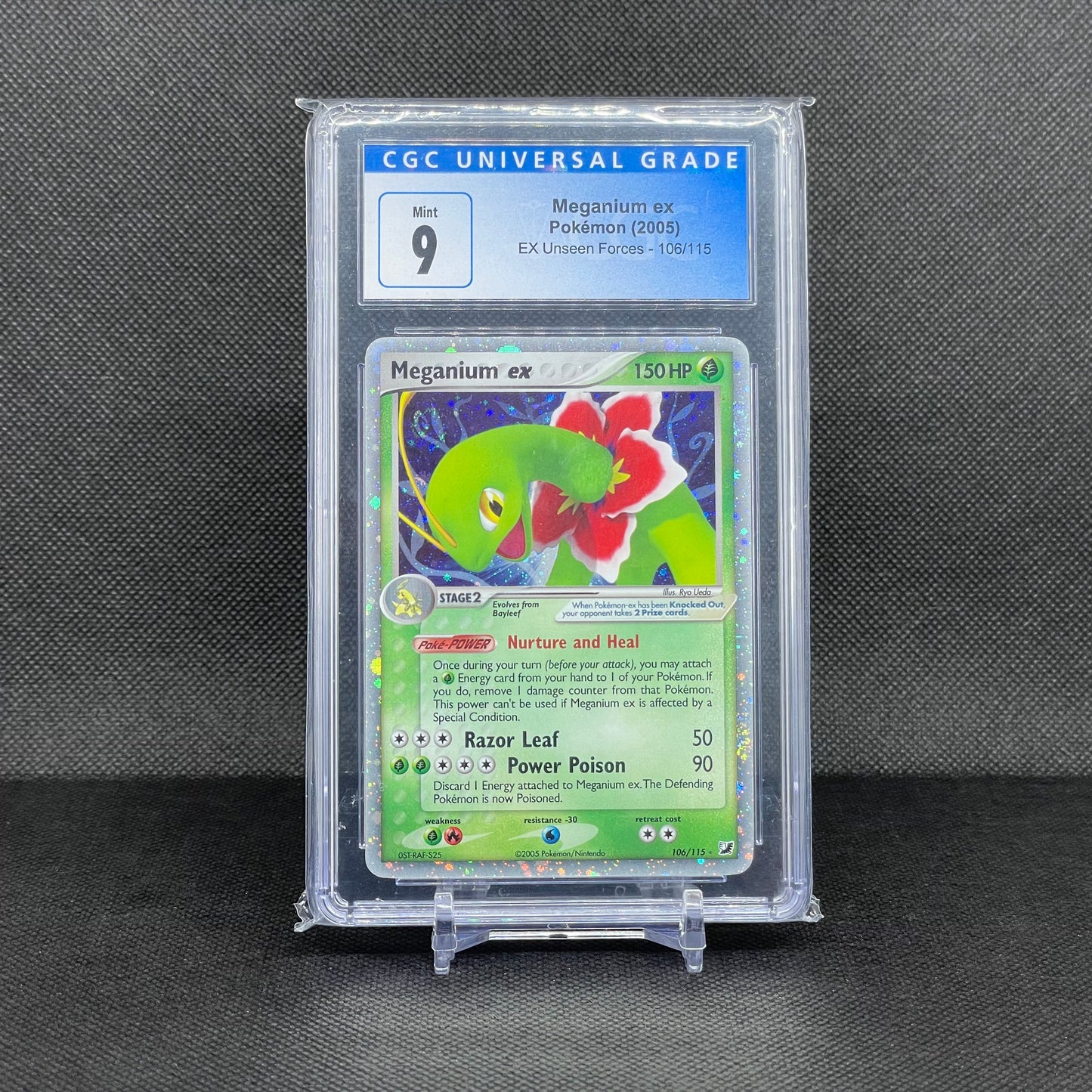 Meganium ex Holo