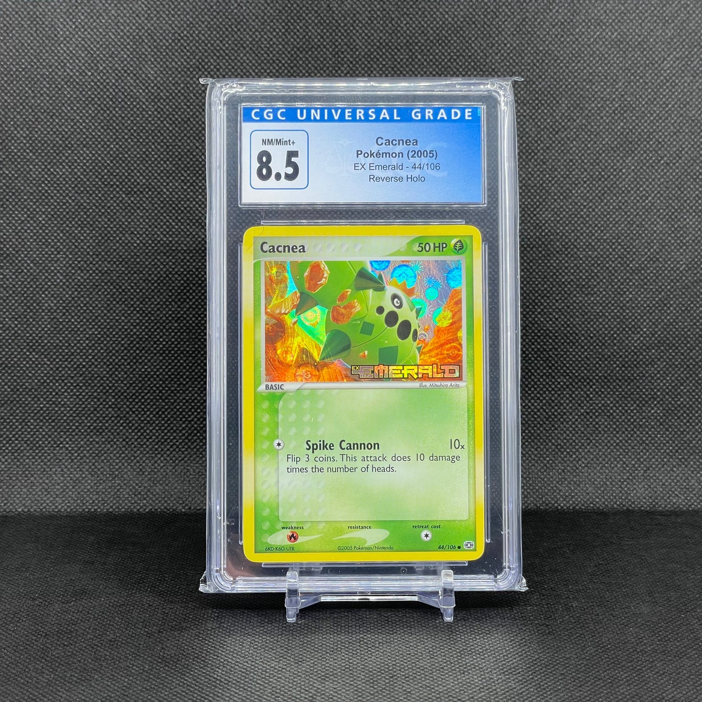 Cacnea Reverse Holo (Stamped)